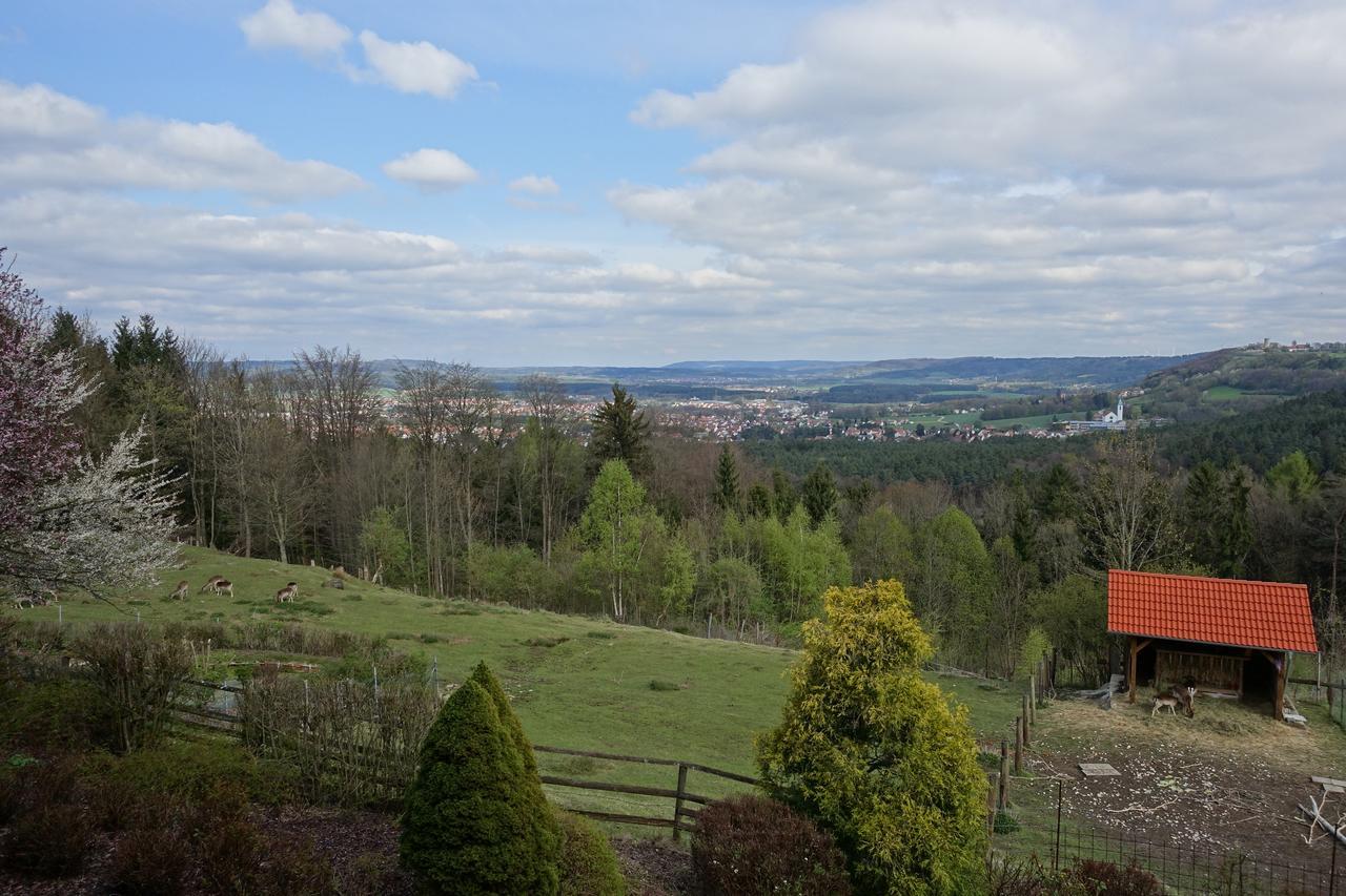 Hotel Gasthof Schönblick Neumarkt in der Oberpfalz Exteriör bild